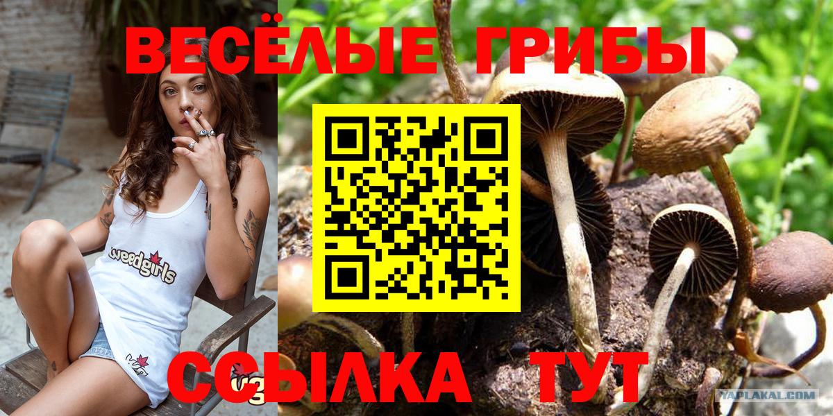 Галлюциногенные грибы MAGIC MUSHROOMS Бугуруслан